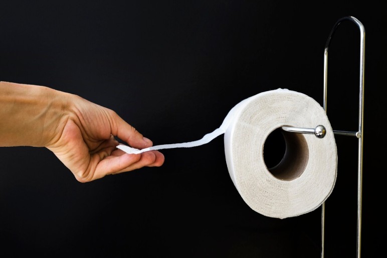 How To Choose The Right Toilet Paper Holder?